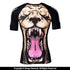 TATAMI LION RASHGUARD-3